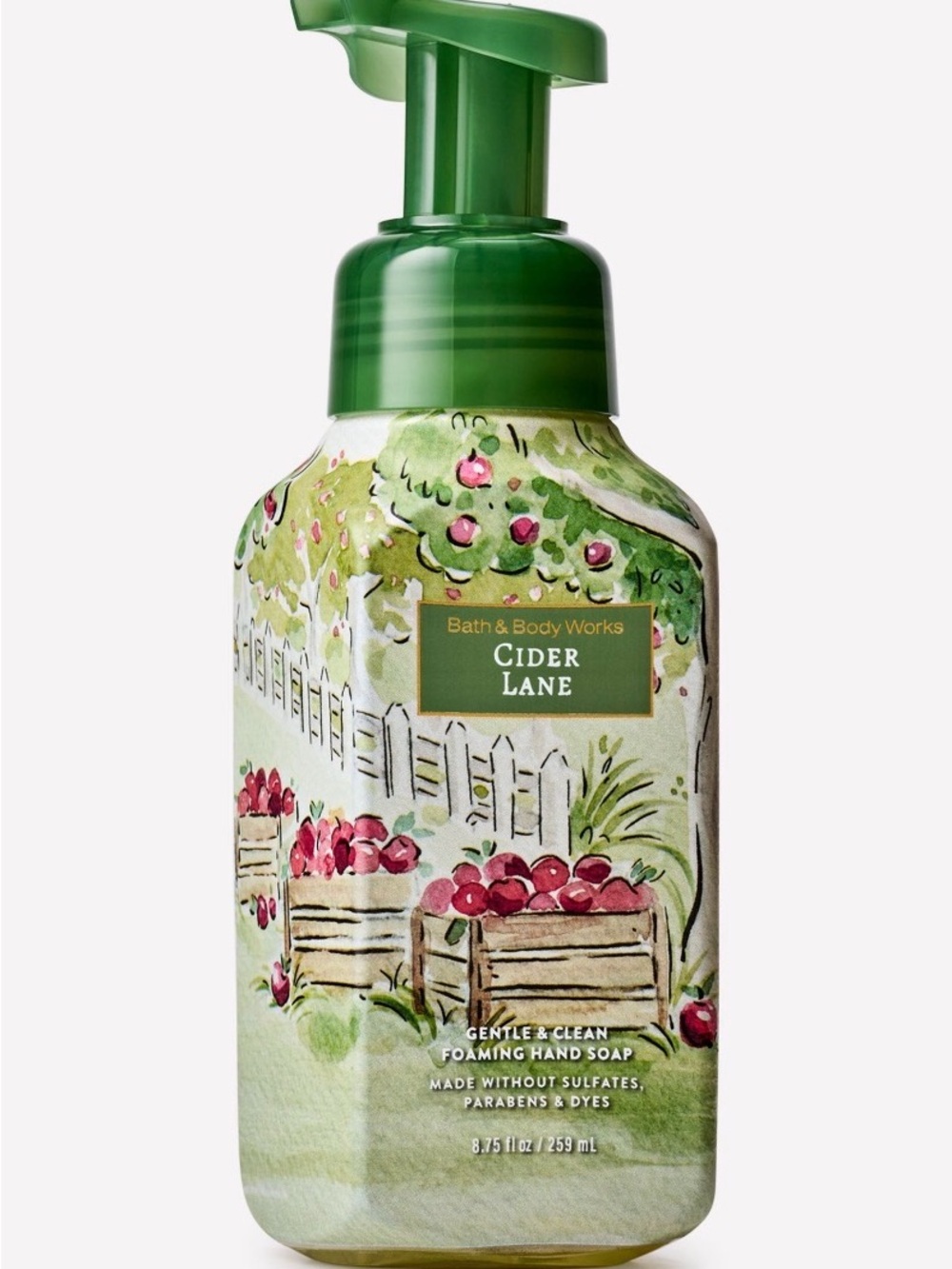 Bath & Body Works Cider Lane Gentle Foaming Hand Soap